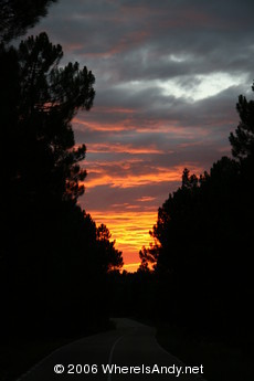 Road twists into the sunset